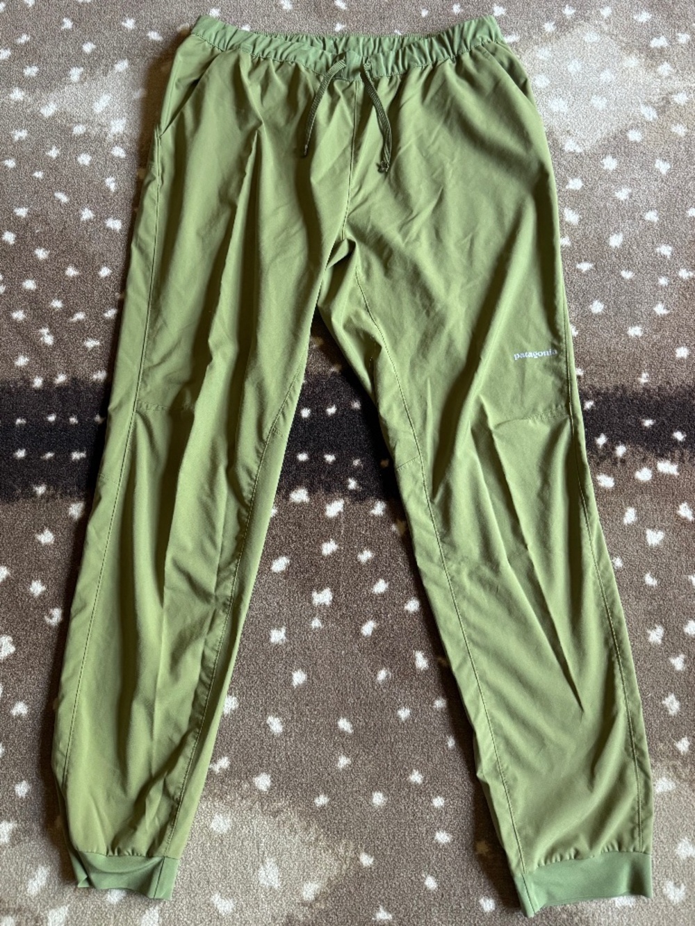 Patagonia Jogger